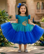 Aafreen Royal Flare Party Gown