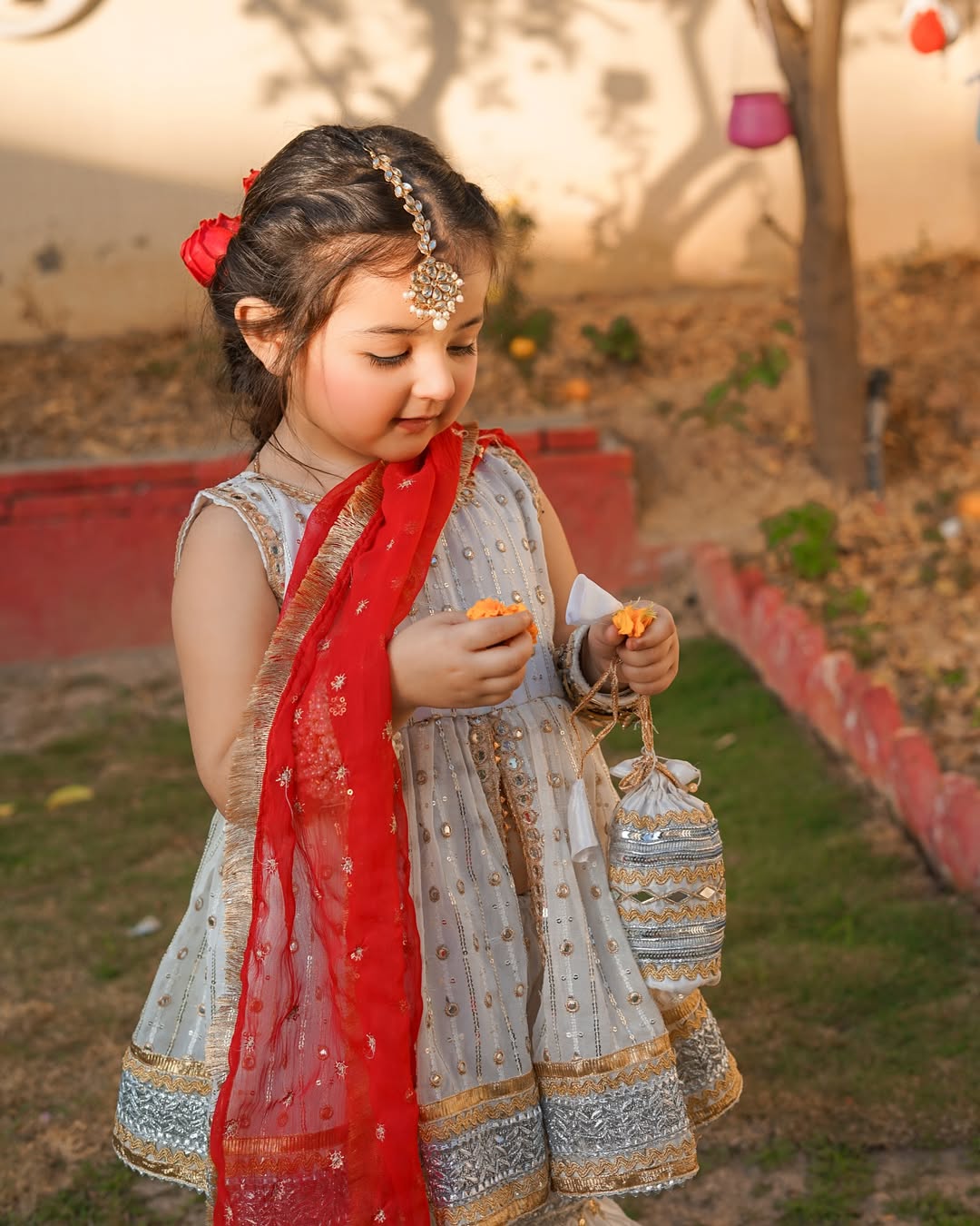 Noor Jahan Traditional Elegant Sharara