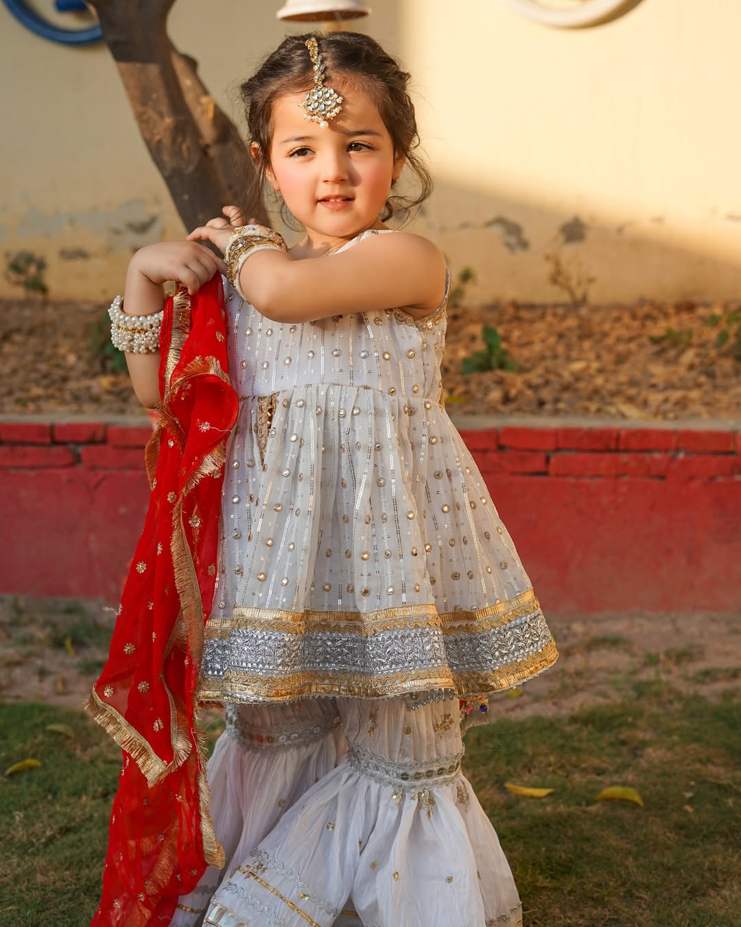 Noor Jahan Traditional Elegant Sharara
