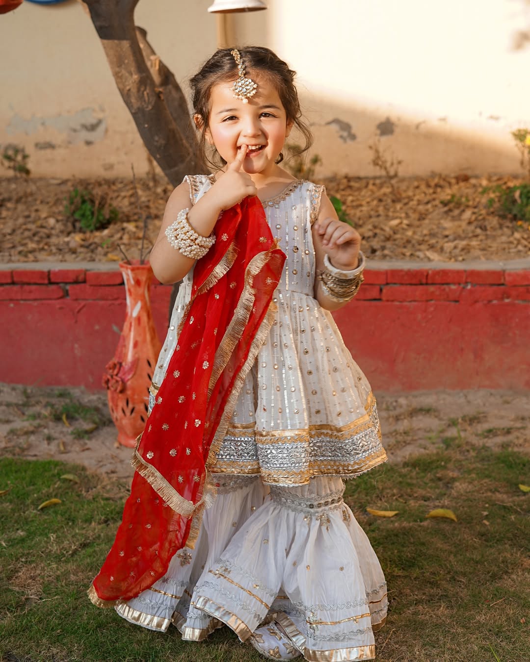 Noor Jahan Traditional Elegant Sharara