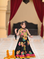 Qehlani Royal Ethnic Flare Lehenga Set