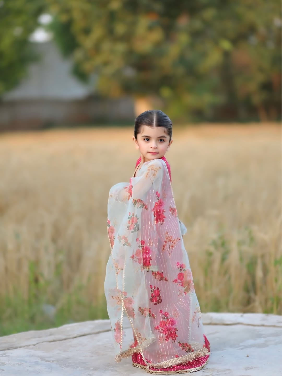 Aadhya Rani Pink Sharara Set