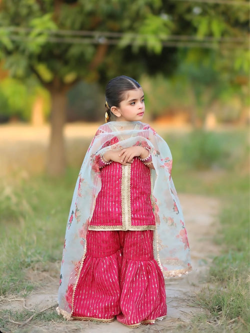 Aadhya Rani Pink Sharara Set