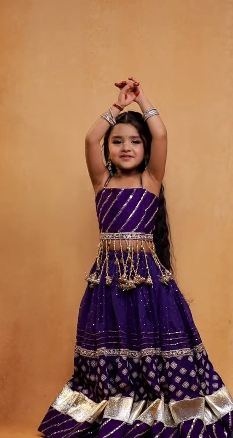 Meher Royal Purple Traditional Lehenga Choli