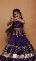 Meher Royal Purple Traditional Lehenga Choli